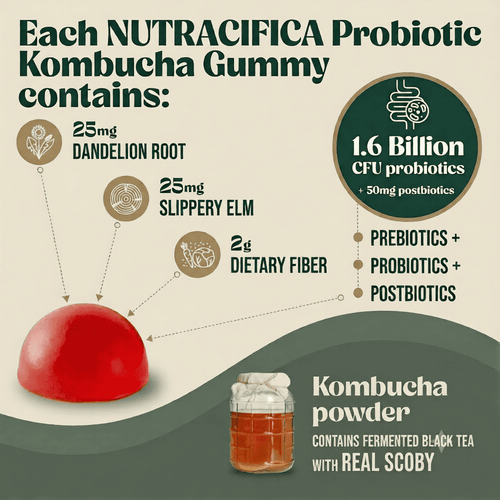 Probiotic Kombucha Gummies