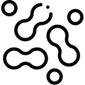 Bacillus Coagulan