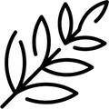 Active Probiotic
