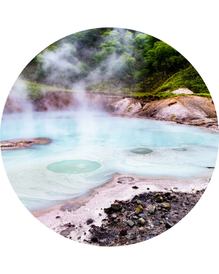 Sulphur Spring Extract