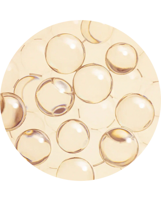 Ceramide