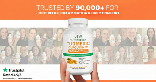 Turmeric Curcumin 95
